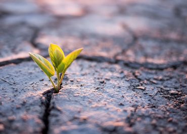 Life Happens For You: Embracing Growth Through Challenges